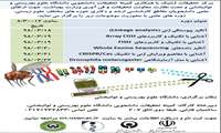 مرکز تحقیقات ژنتیک دانشگاه علوم بهزیستی و توانبخشی با همکاری کمیته تحقیقات دانشجویی آن دانشگاه دوره های علمی برگزار خواهد نمود